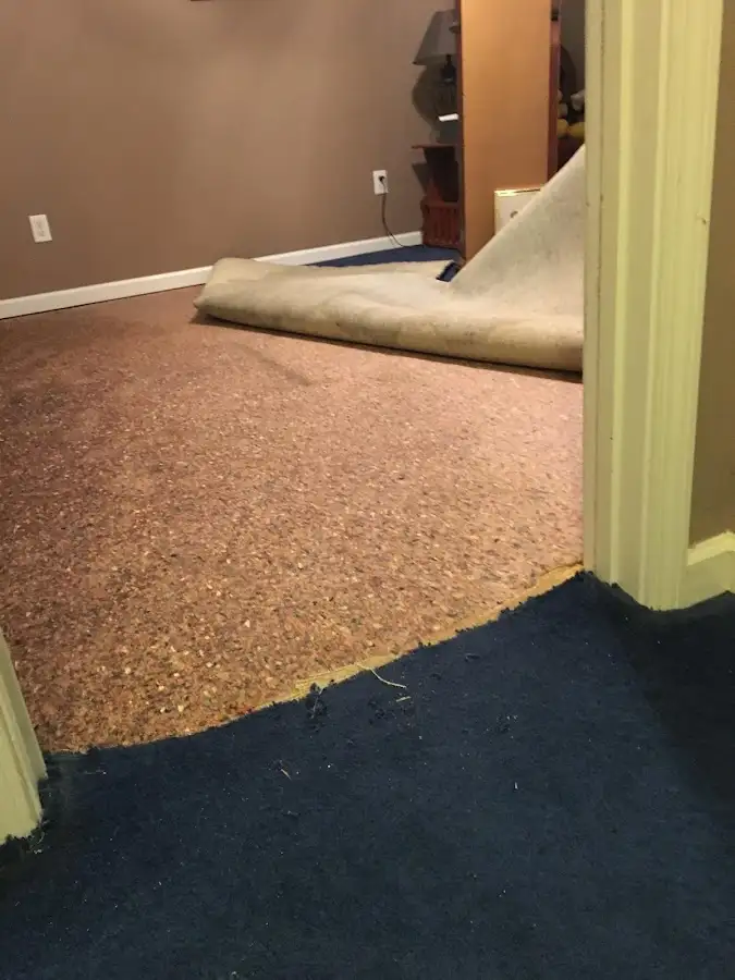Carpet pad removal revealing water damage during Drying & Dehumidification in Saugus